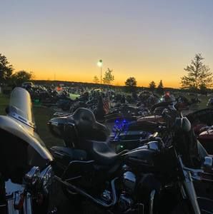 Meet your Posher, Marlene